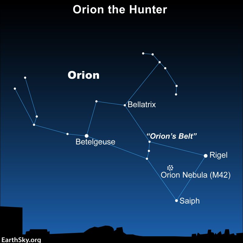 "I was Adam & Abraham Liberati.me - Orion Starseeder"